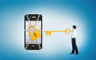 端點(diǎn)反惡意軟件保護(hù) 網(wǎng)絡(luò)與信息安全軟件開(kāi)發(fā)的關(guān)鍵要素